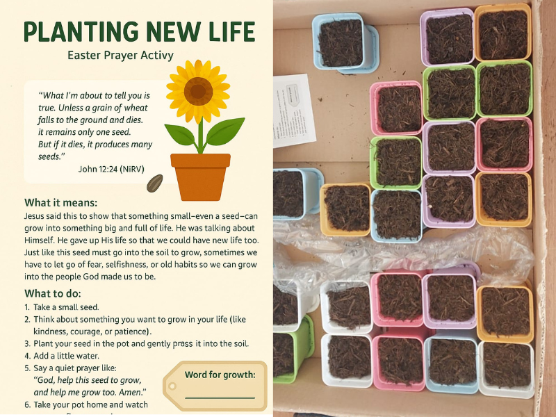 Planting New Hope Activity
